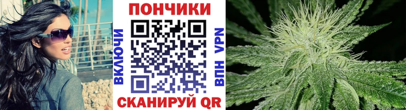 Купить наркоту Курчатов Гашиш  Амфетамин  Кокаин  Alpha-PVP  Меф мяу мяу  Бошки Шишки 