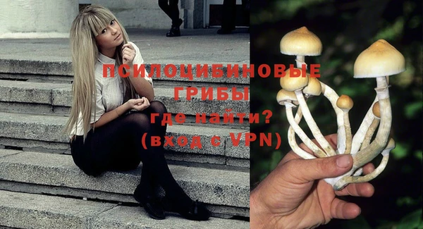 прущие крисы Беломорск