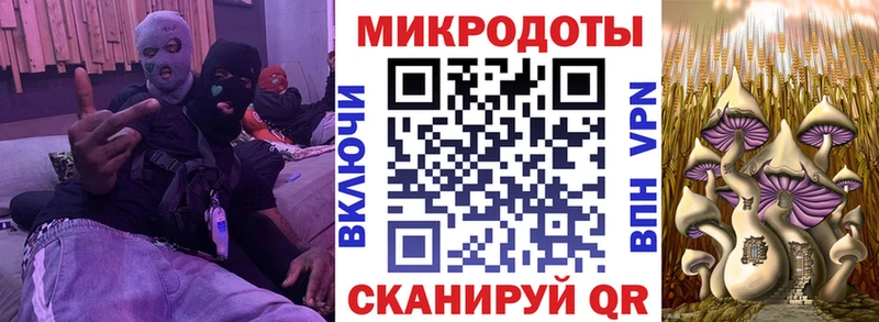 кракен как зайти  Курчатов  Псилоцибиновые грибы MAGIC MUSHROOMS  купить  